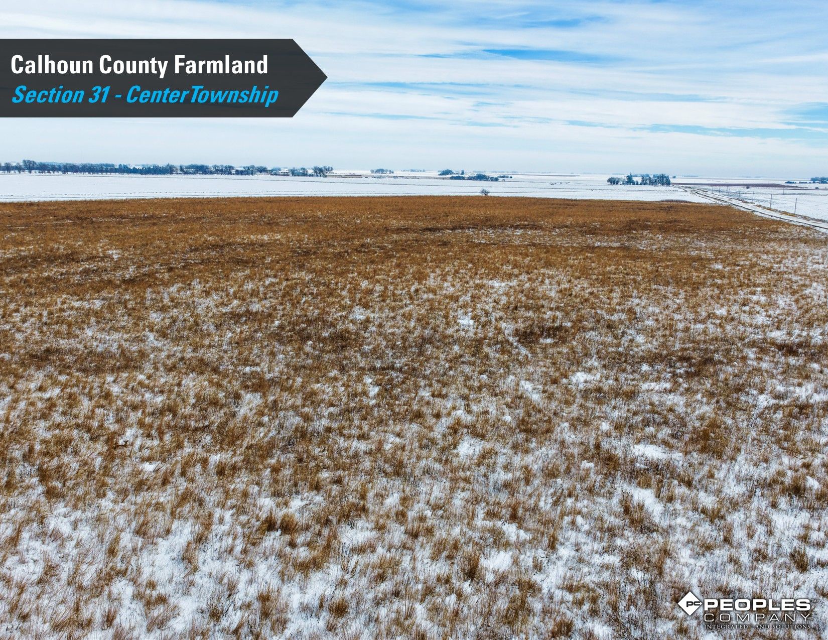 Listing Photo: Calhoun-County-Iowa-Farmland-Available-78.4Acres-Rockwell-City-18822 (8)